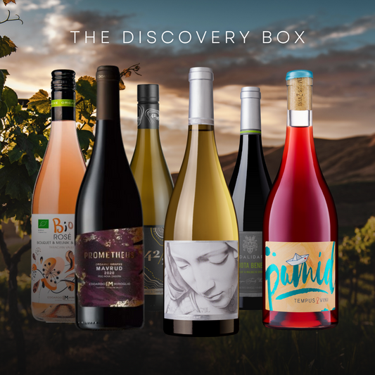 The Discovery Box